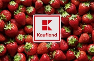 Kaufland logo