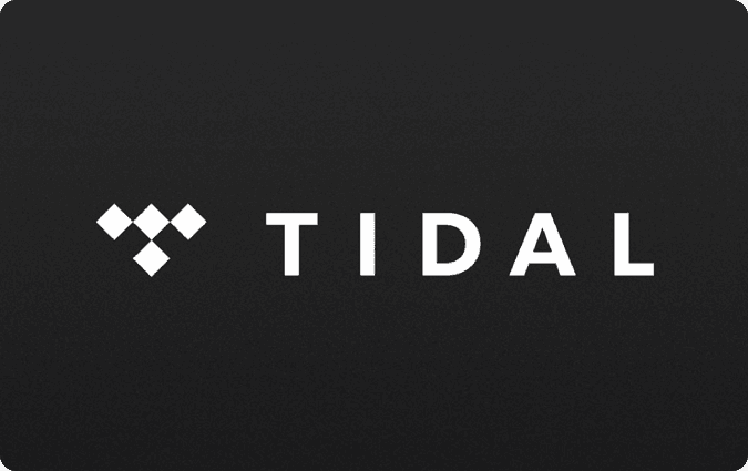 TIDAL USA logo