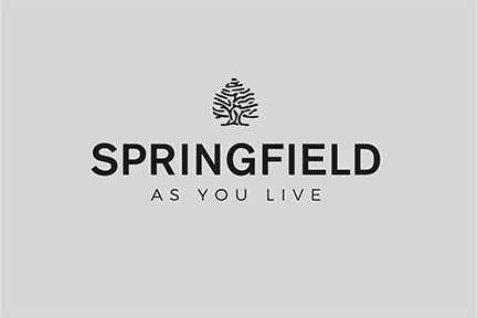 Logo de SPRINGFIELD Ukraine