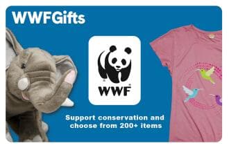 WWF USA logo