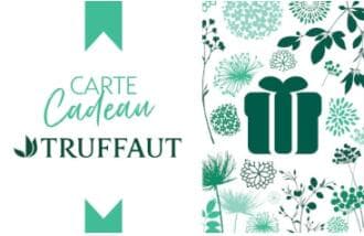Logo de Truffaut France