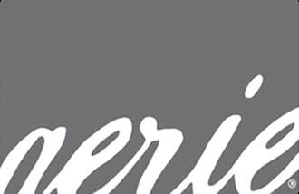 Aerie USA logo