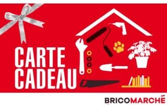 Bricomarche France logo