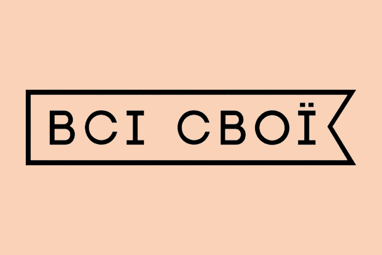 Logo de Vsi Svoi Ukraine