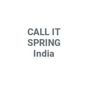 CALL IT SPRING India logo